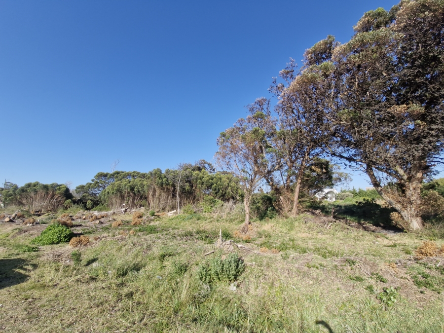 0 Bedroom Property for Sale in Bettys Bay Western Cape
